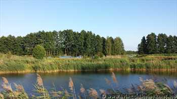 Barszcze